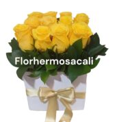 Flores hermosas para toda ocasión