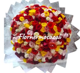 HERMOSO BOUQUETS TIPO BUCHON